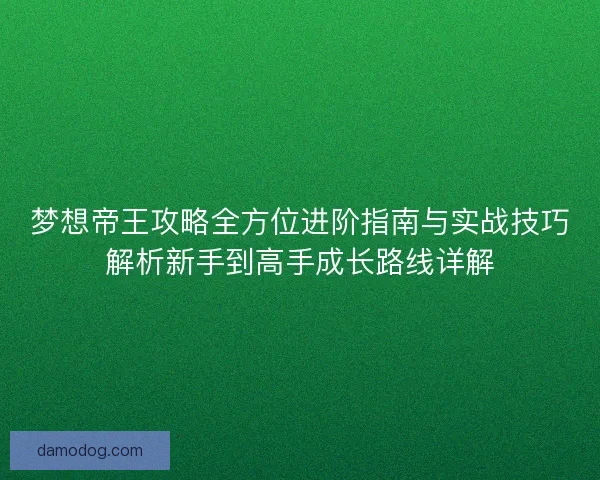 梦想帝王攻略全方位进阶指南与实战技巧解析新手到高手成长路线详解