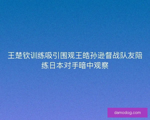 王楚钦训练吸引围观王皓孙逊督战队友陪练日本对手暗中观察