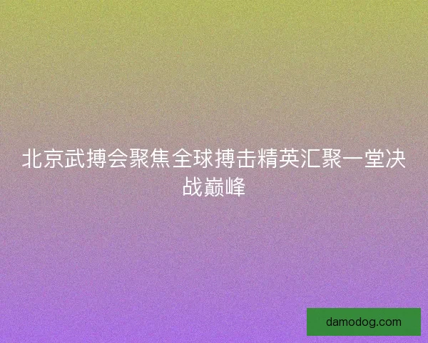 北京武搏会聚焦全球搏击精英汇聚一堂决战巅峰