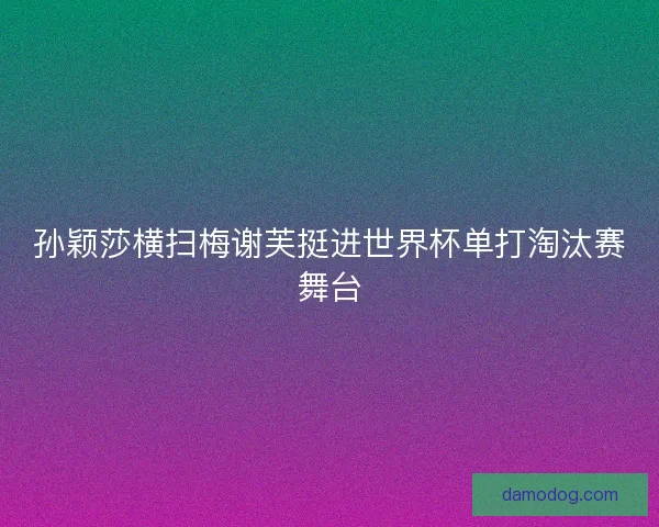 孙颖莎横扫梅谢芙挺进世界杯单打淘汰赛舞台