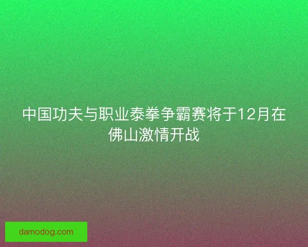 中国功夫与职业泰拳争霸赛将于12月在佛山激情开战